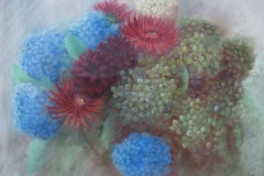 pb230858_Stilleven met Orthensias Pierre Emy kleur potlood op papeier  60 x 45